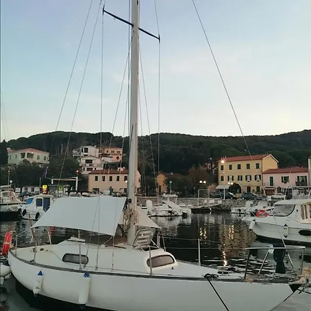 1 Holiday home